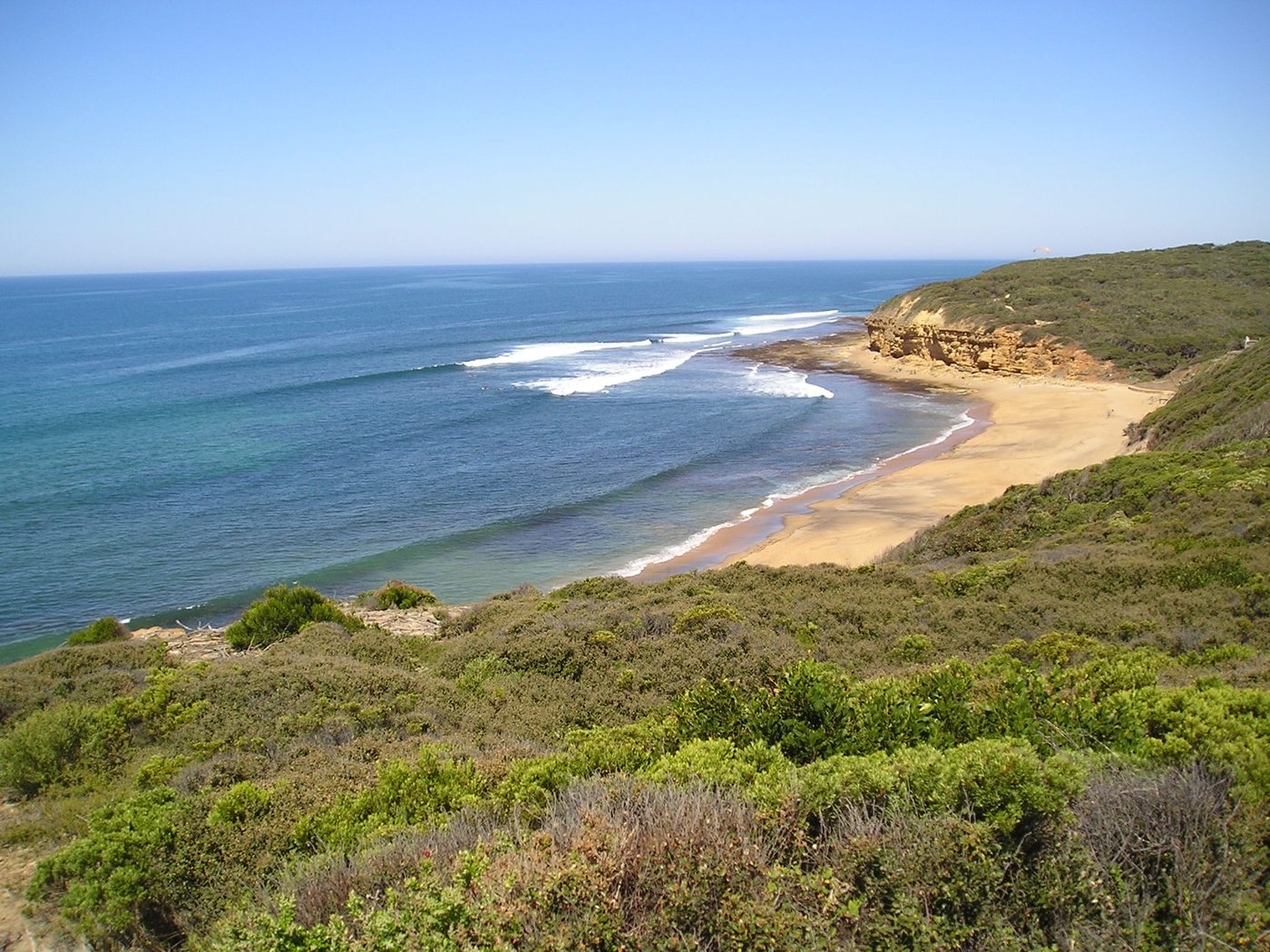 Bells Beach seen from above, with coastal scrub, yellow-brown cliffs, a sandy bay and waves breaking towards the shore.