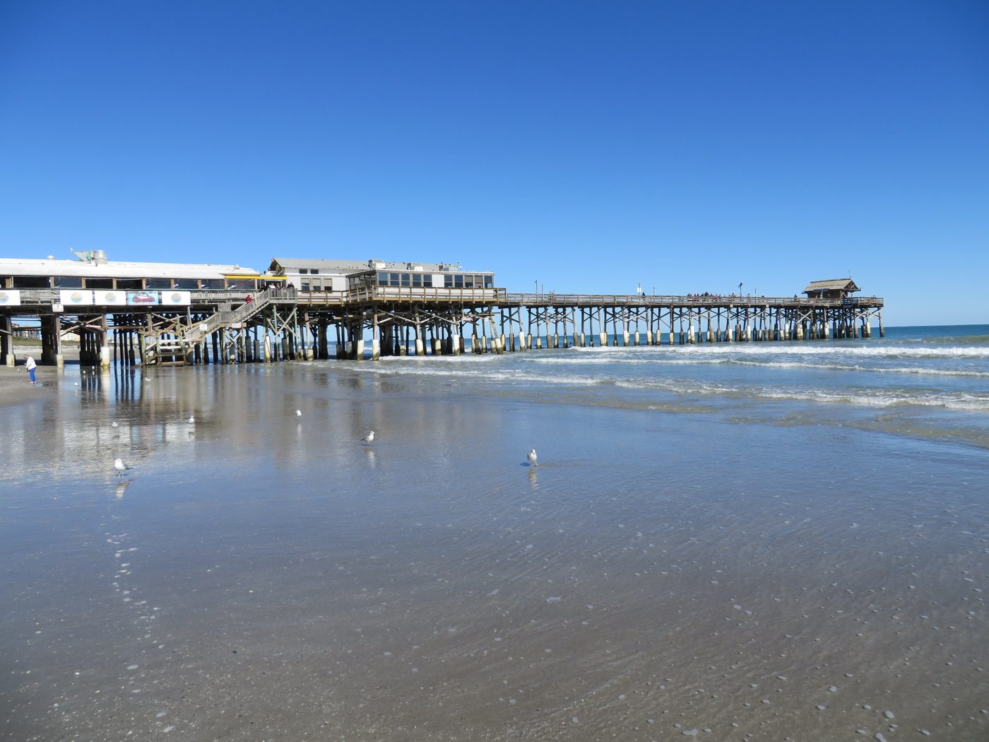 Cocoa Beach Pier extending above wet sand and shallow water, with rows of supports beneath the deck.