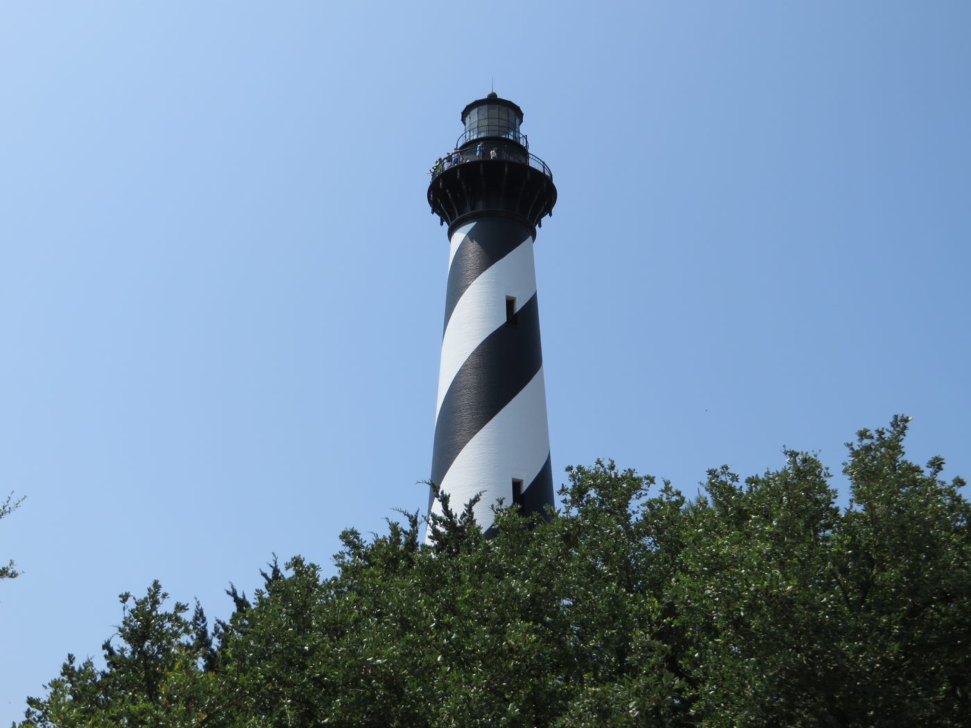 The black-and-white spiral tower of Cape Hatteras Lighthouse rising above green trees against a blue sky.
