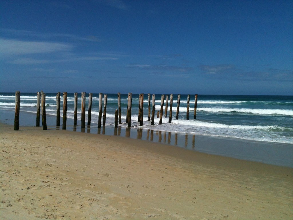Timber groyne posts running diagonally from the sand into the water at St Clair Beach.