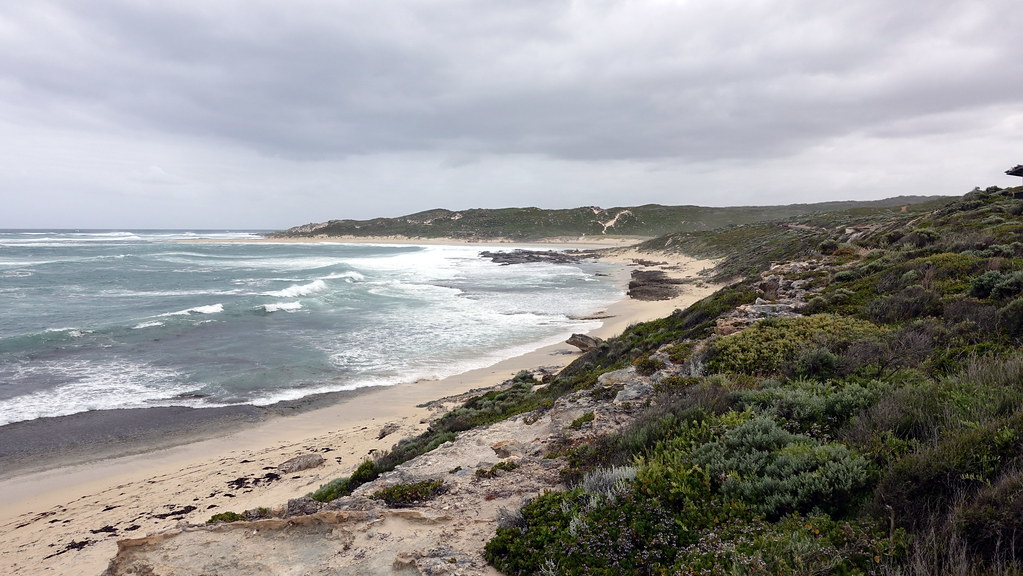 Rocky shoreline, low vegetation and breaking waves at Surfers Point under an overcast sky.