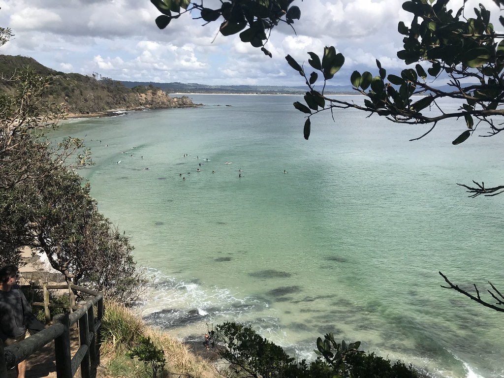 Surfers in the water at The Pass, Byron Bay, viewed past coastal foliage and a timber railing.